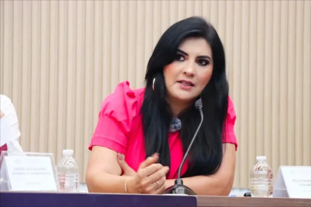 Diputada Delfina Pozos impulsa iniciativa para transparentar la integración de Concejos Municipales