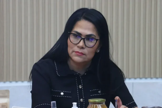 Diputada Fedrha Suriano impulsa sanciones contra cómplices de robos en instituciones bancarias