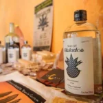 Encuentro Nacional del Mezcal Puebla 2026 reunirá a 300 marcas en septiembre