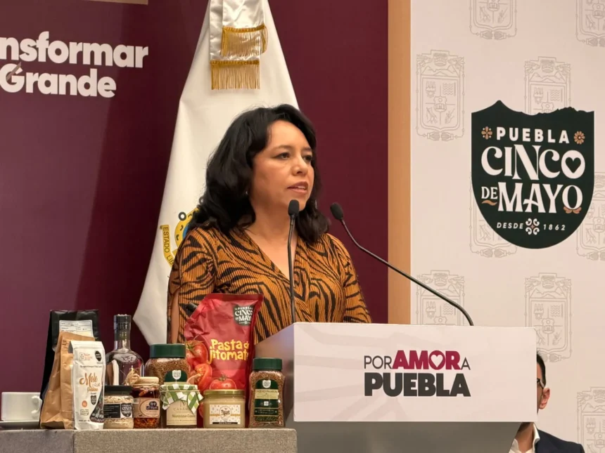 Fábrica de baterías para Olinia se proyecta en San José Chiapa con inversión de 195 mdp