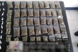 Marina en coordinación interinstitucional, detienen a un masculino con más de 400 dosis de presunta droga y 55 bolsas de marihuana, en Tehuacán, Puebla