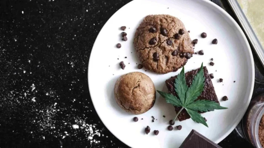 SCJN autoriza uso de cannabis para preparar alimentos, pero sólo para autoconsumo recreativo.