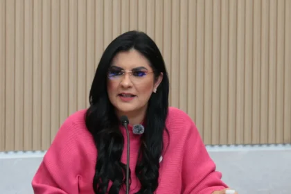 Anuncia diputada Delfina Pozos gira de trabajo por Nueva York para impulsar agenda migrante