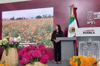 Atlixco prepara venta de cempasúchil y terciopelo para Día de Muertos