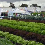 Expo Hortícola Puebla reunirá a productores y especialistas del 21 al 23 de octubre en Los Reyes de Juárez