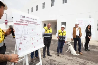 Gobierno Estatal alcanza 88 por ciento de avance en célula de bienestar animal