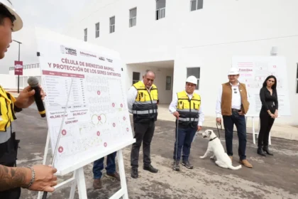 Gobierno Estatal alcanza 88 por ciento de avance en célula de bienestar animal