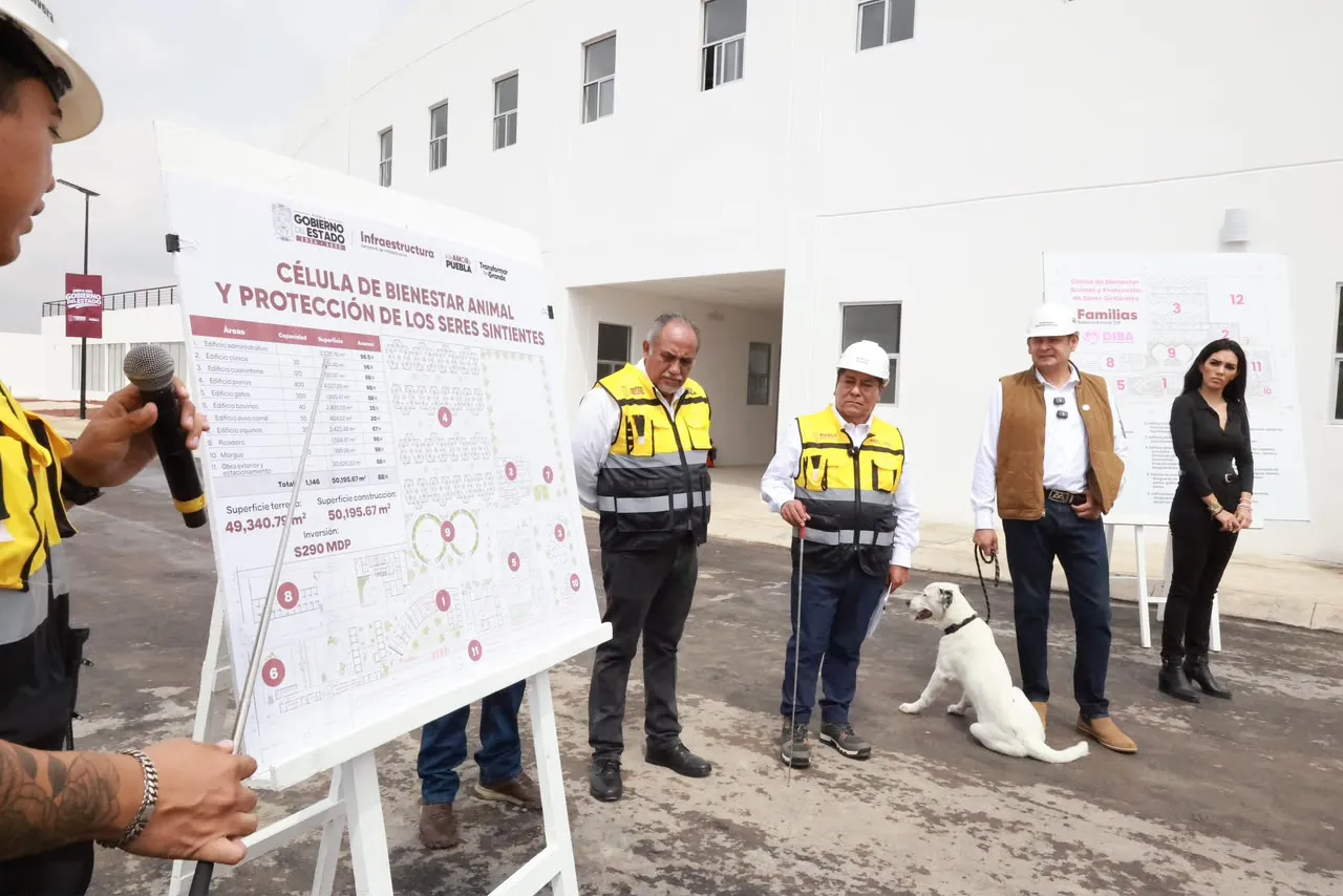 Gobierno Estatal alcanza 88 por ciento de avance en célula de bienestar animal