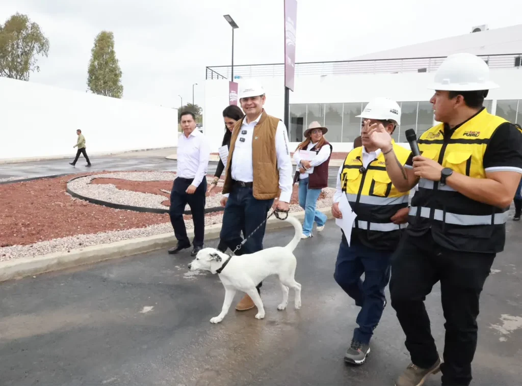 Gobierno Estatal alcanza 88 por ciento de avance en célula de bienestar animal