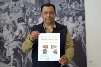 Investigadores BUAP registran nuevos ejemplares de tortuga en el estado de Puebla